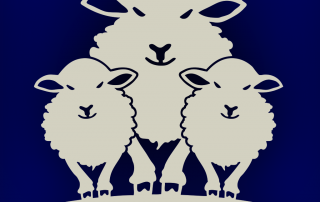 Sheep Game for iPhone